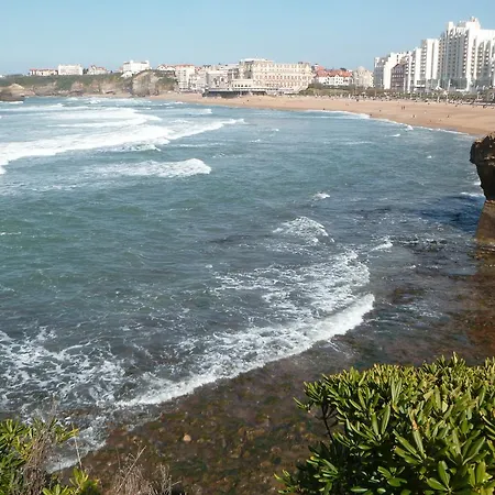 Studio Grand Plage Et Business *