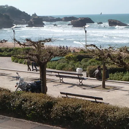 Studio Grand Plage Et Business Apartment *